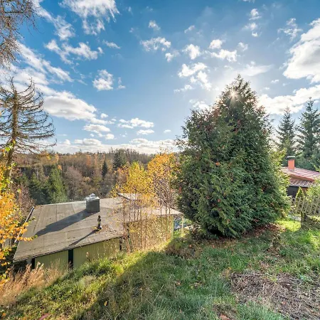 With Terrace Next To The Forest
